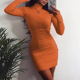 2019 Sexy Solid Dress Women Night Club Bodycon Turtleneck Super Warm Elegant Ladies Dress Tight buttocks Mini Dress Size S-XL