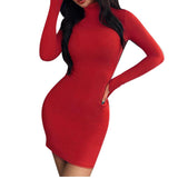 2019 Sexy Solid Dress Women Night Club Bodycon Turtleneck Super Warm Elegant Ladies Dress Tight buttocks Mini Dress Size S-XL